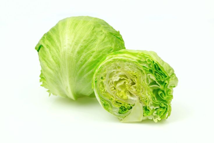 lettuce iceberg